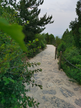 山间小路