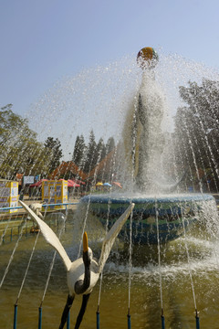 深圳野生动物园海豚喷泉
