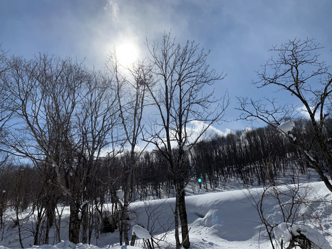 北海道雪景