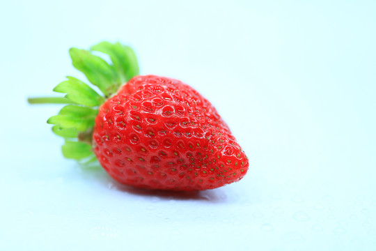 草莓22