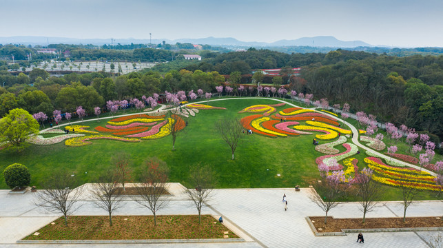 南昌凤凰沟郁金香花园