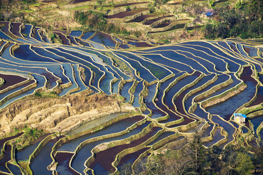 元阳梯田