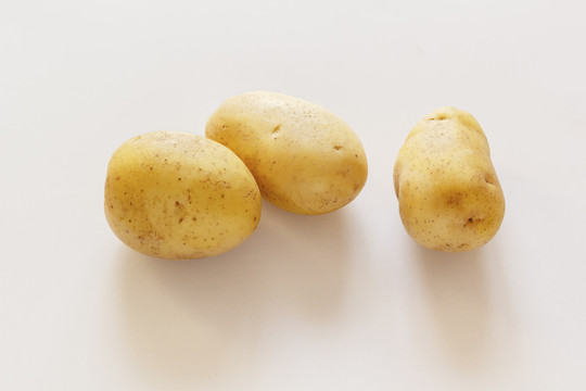 黑龙江大土豆