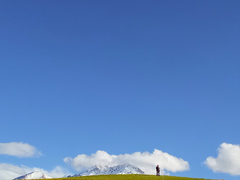 青海草原风光