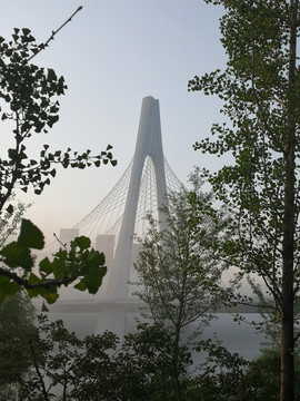 雾天摄乐桥