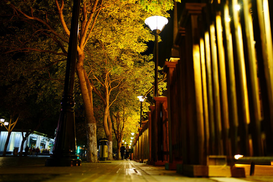 夜幕下的哈尔滨中央大街
