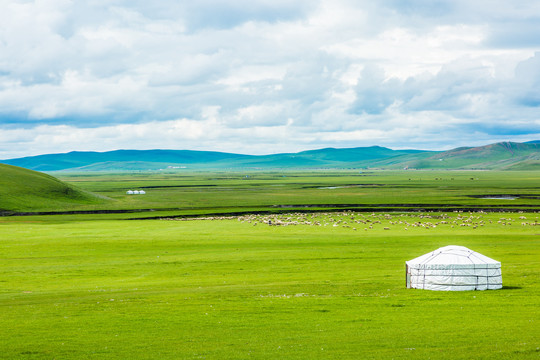 夏天草原牧场蒙古包河流