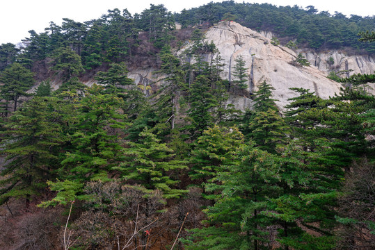 华山风景