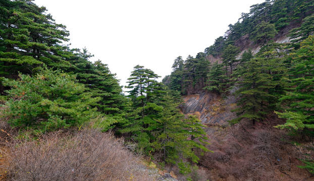 华山风景