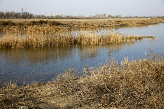 滹沱河