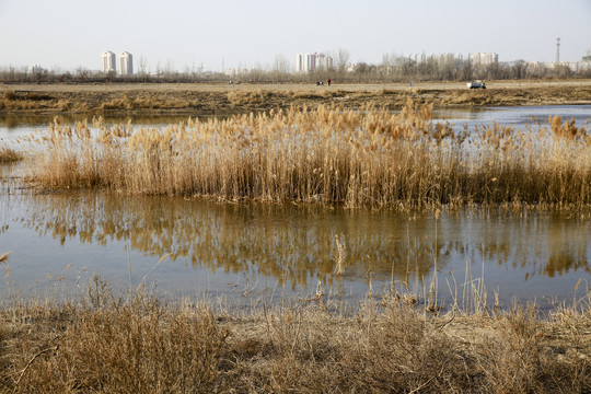 滹沱河