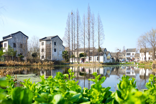 南京江宁杨柳村