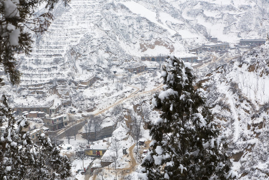 雪景