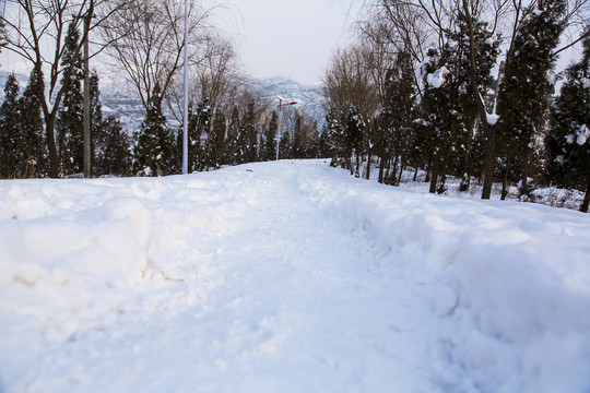 雪景