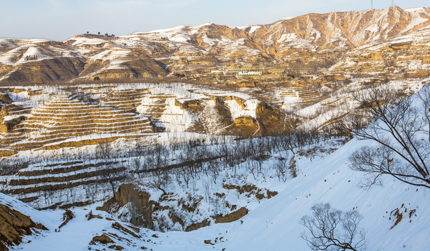 雪景