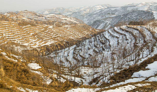 黄土高原