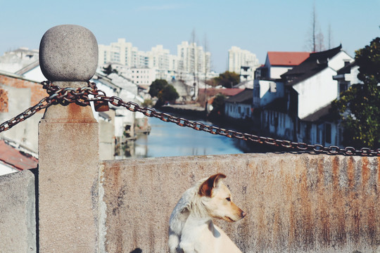 生活的城市