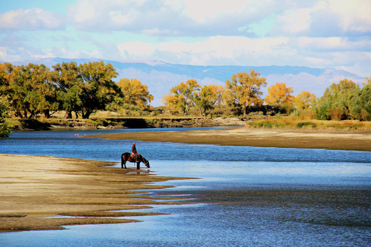 新疆额尔齐斯河牧马人