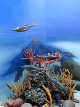 海洋古生物群落
