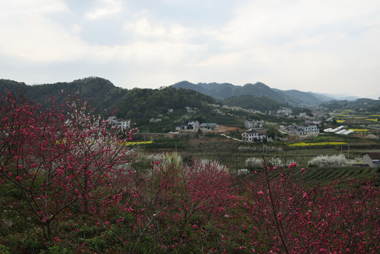 春天风景