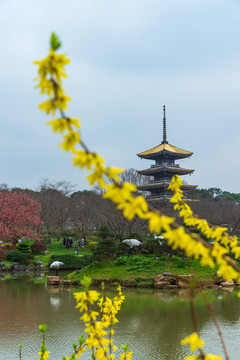 武汉东湖樱园风景