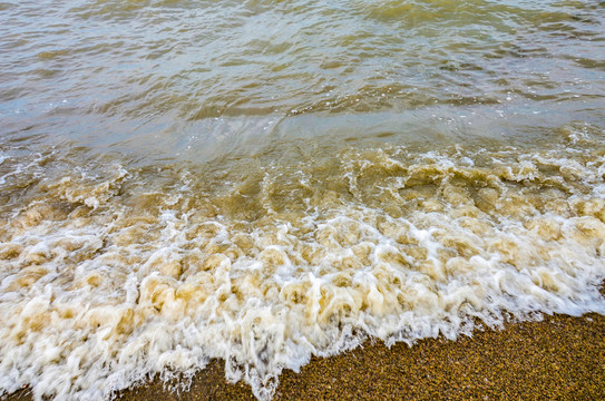 青海湖草原风光