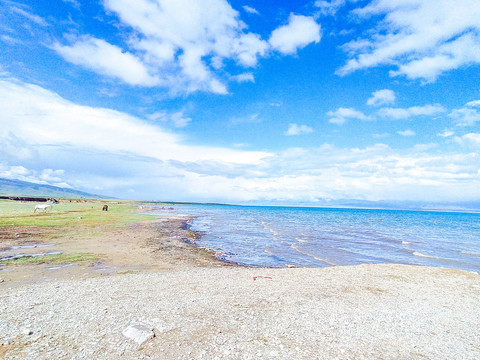 湖景风光