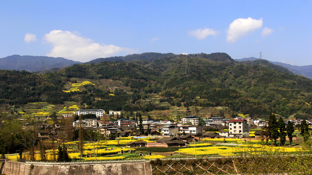 乡村油菜花