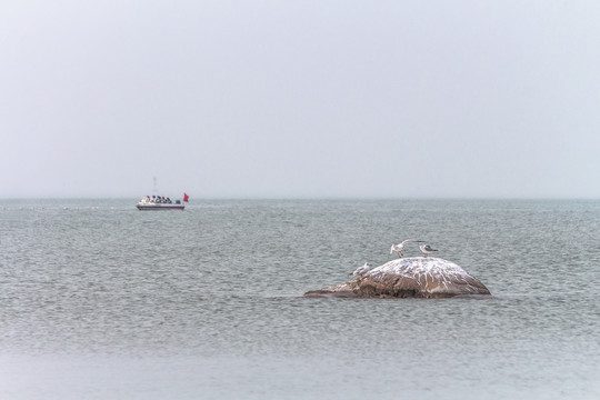 湖面游船