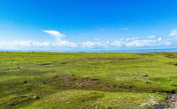 青海湖景区