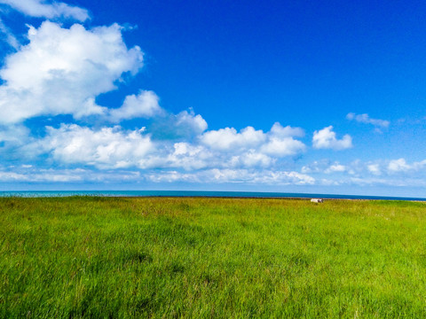 青海湖