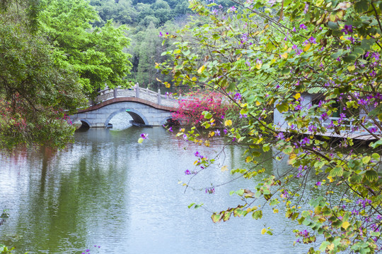 春天姹紫嫣红的肇庆七星岩风景区