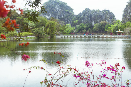 春天姹紫嫣红的肇庆七星岩风景区