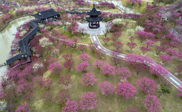 江苏省盐城市大丰梅花湾景区