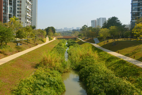 深圳西丽大学城大沙河风光