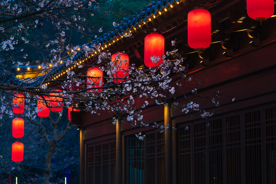 武汉东湖樱园夜景