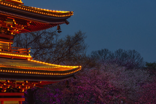 武汉东湖樱园五重塔夜景