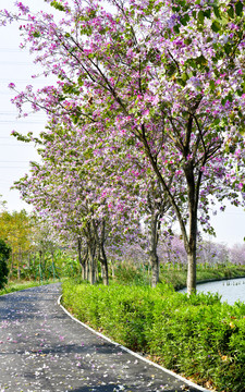 广州海珠湿地公园
