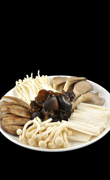 菌类拼