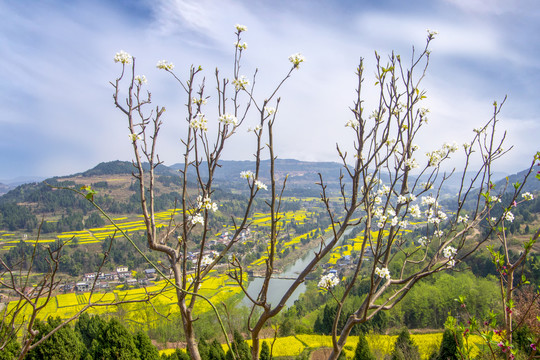 四川山村景色