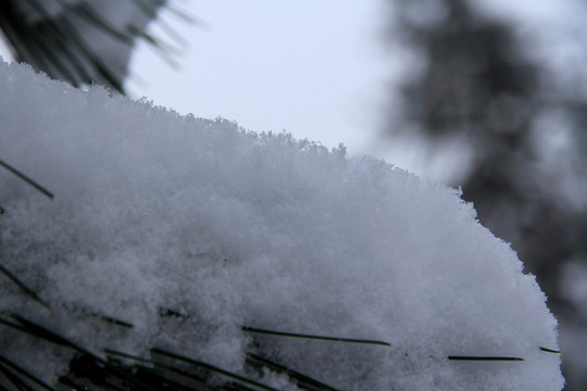 雪景