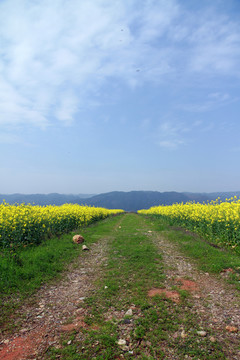 花道