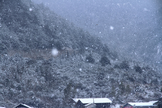 雪花