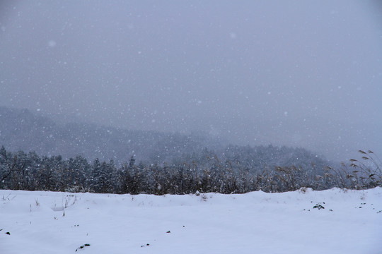 大雪