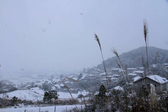 雪景