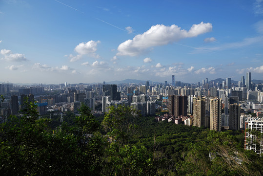 深圳南山城市风光