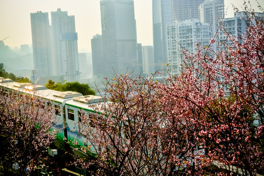 重庆单轨列车