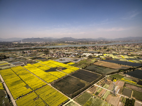 浙江兰溪岩头村油菜花田航拍