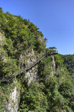 磐安灵江源森林公园栈道