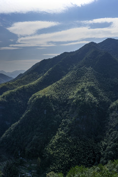 磐安灵江源森林公园